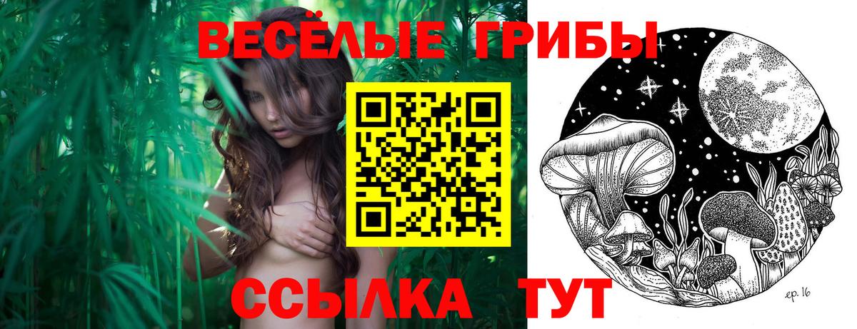 Галлюциногенные грибы Magic Shrooms Заводоуковск