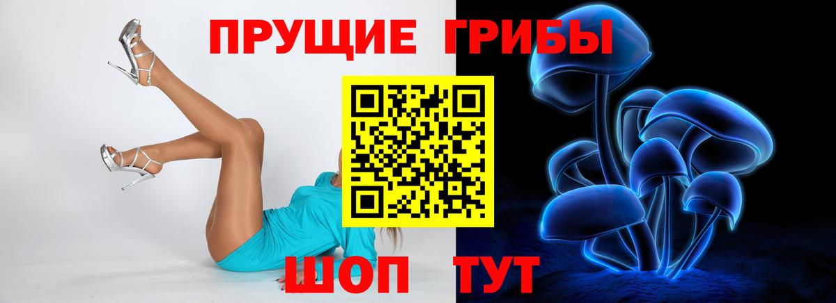 Заводоуковск  Псилоцибиновые грибы Psilocybine cubensis  Вход с VPN 